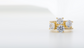 Sylvia - East-West Engagement Ring