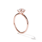Sally - Solitaire
