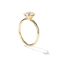 Sally - Solitaire
