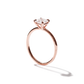 Sally - Solitaire