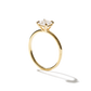 Sally - Solitaire