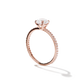 Adelle - Solitaire with Pave Band