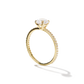 Adelle - Solitaire with Pave Band