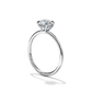 Sage - Minimalist Solitaire with Hidden Halo