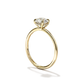 Sage - Minimalist Solitaire with Hidden Halo