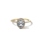 Rachel - Solitaire with Halo and Pave Band