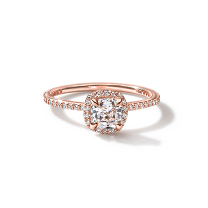 Rachel - Solitaire with Halo and Pave Band