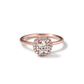 Julia - Classic Solitaire with Halo