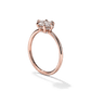 Joelle - East-West with Hidden Halo